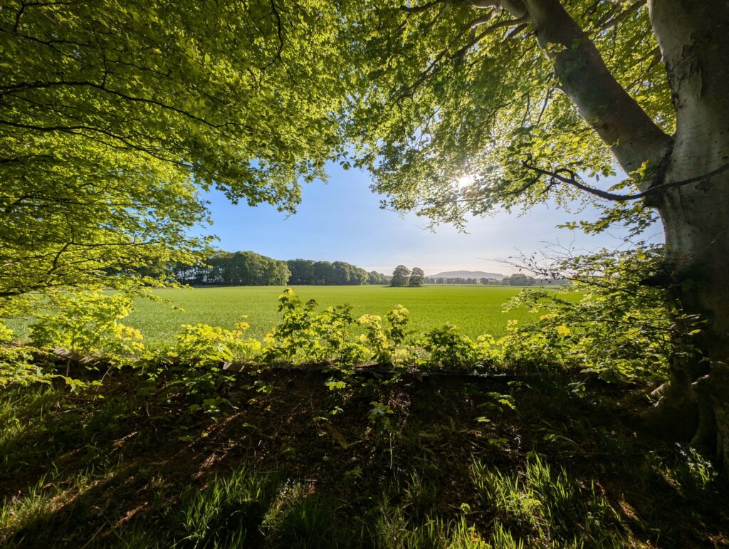 Lucky Enough to live in Aberdeenshire