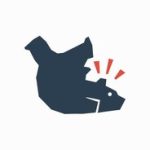 Clumsy Bear Studio