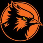 Dark Jay Studio