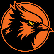 Dark Jay Studio logo