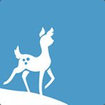 Stray Fawn Studio