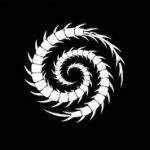 Spiral Trap Studio