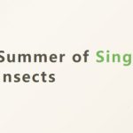 Summer of Singing Insects