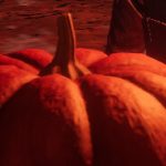 Enchanted Pumpkin Co.