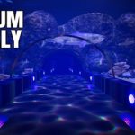 Aquarium Anomaly