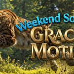 Weekend Solitaire 7 Grace In Motion